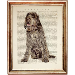 Wirehaired Wall Art, Wirehaired Pointing Griffon Dictionary Art Print, Dog Art Print, Dog Poster, Dog Artwork Wall Decor