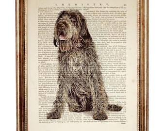 Wirehaired Wall Art, Wirehaired Pointing Griffon Dictionary Art Print, Dog Art Print, Dog Poster, Dog Artwork Wall Decor