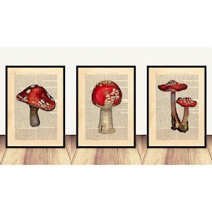 Juego de 3 impresiones, impresión artística de hongos, juego de 3 impresiones de hongos, impresión artística de diccionario de hongos, arte de pared grande A3, hongos