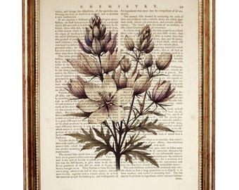 Floral Dictionary Art Print, Botanical Book Page Illustration