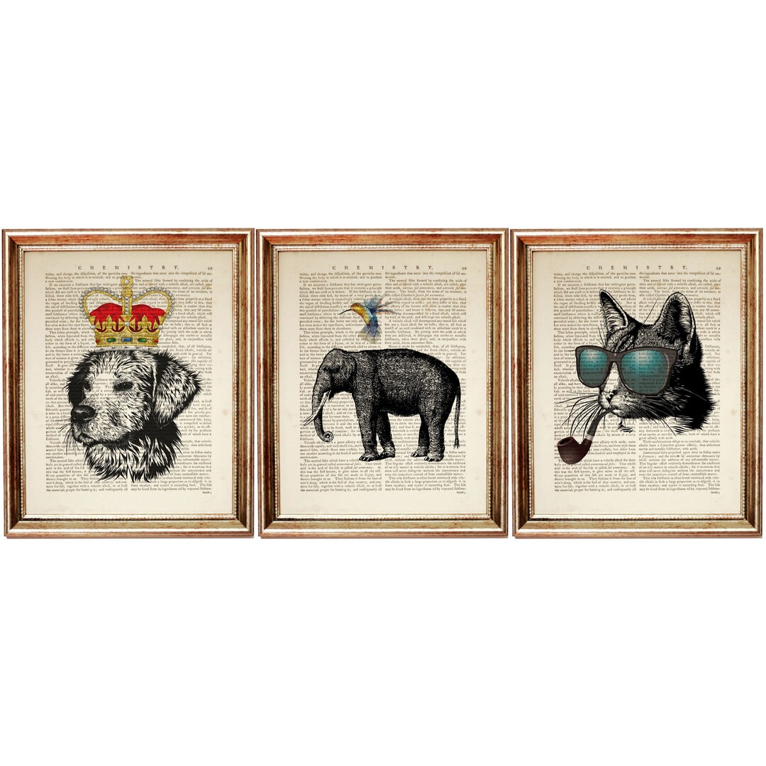 Set of 3 Wall Art Black and White Funny Animal Wall Print Set Etsy