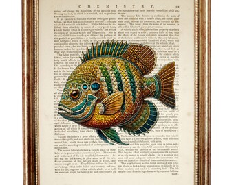 Lámina artística de diccionario de peces, decoración de pared de animales del océano, regalo para amantes de los peces, ilustración de vida marina costera, lámina artística de página de libro reciclada