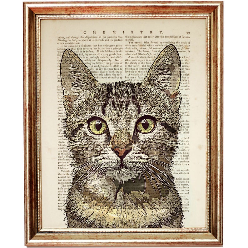 Puede incluir: Un primer plano de la cara de un gato atigrado, con ojos verdes, mirando directamente al espectador. El pelaje del gato es una mezcla de marr&oacute;n, blanco y negro, y la imagen se superpone a una p&aacute;gina de libro vintage con texto sobre qu&iacute;mica.