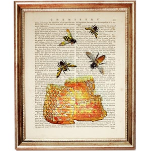 May include: A vintage book page with a watercolor illustration of a honeycomb and four bees. The text on the page reads "CHEMISTRY" and discusses the properties of volatile alkalis.