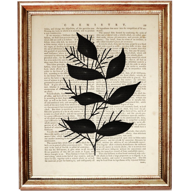 Op de afbeelding: Een ingelijst kunstwerk aan de muur met een zwart silhouet van een tak met bladeren, gedrukt op een pagina uit een vintage scheikundeboek. De pagina bevat de kop CHEMISTRY en het nummer 99. De lijst is goudkleurig met een textuurafwerking.
