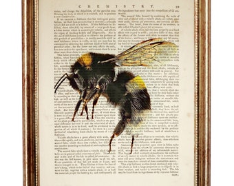 Bee Wall Art, Honey Bee Poster Room Decor, Bumble Bee 8 x 10 Dictionary Art Print