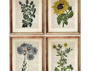 Set of 4 Botanical Dictionary Art Prints, Vintage Flowers Wall Decor
