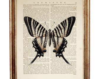 Butterfly Print, Zebra Swallowtail Vintage Dictionary Page
