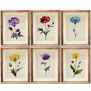 Lot de 6 tirages d'art vintage dictionnaire de fleurs sauvages, pages de livre de dictionnaire botanique 8 x 10, oeuvre de verdure
