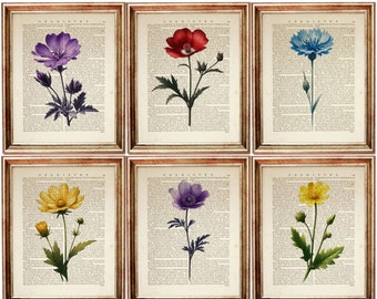 ヴィンテージ風の野草の辞書アートプリント6枚セット、植物辞典のページ、8x10インチ、緑のアートワーク