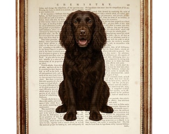 Field Spaniel Dictionary Art Print, Vintage Dog Wall Art, Brown Spaniel Portrait For Home Wall