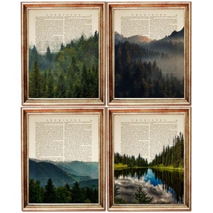 Set of 4 Prints, Forest Wall Art Green Forest Poster Set, Nature Trees Dictionary Art Print, Foggy Mountain Art, Misty Lake