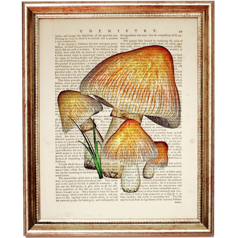 Set of 6 Prints Mushroom Wall Art Mushroom Dictionary Art Etsy