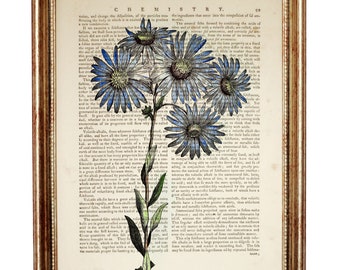 Blue Daisy Print, Wildflower Dictionary Book Page Art, Antique Botanical Wall Art, Floral Home Wall Decor, Flower Poster