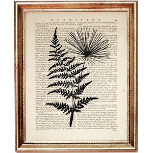 Op de afbeelding: Een ingelijst kunstwerk aan de muur met een zwarte silhouet van een varen en een paardenbloem, gedrukt op een pagina uit een vintage scheikundeboek. De tekst bevat de kop CHEMISTRY en paginanummer 99, in een metalen goudkleurige lijst.