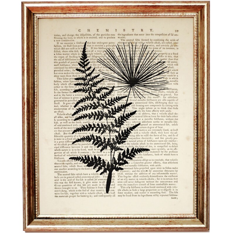 Op de afbeelding: Een ingelijst kunstwerk aan de muur met een zwarte silhouet van een varen en een paardenbloem, gedrukt op een pagina uit een vintage scheikundeboek. De tekst bevat de kop CHEMISTRY en paginanummer 99, in een metalen goudkleurige lijst.