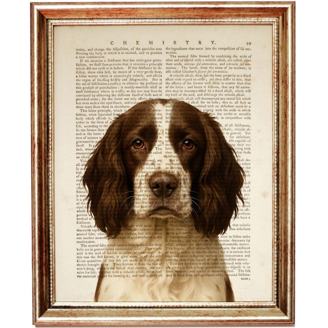 Springer Spaniel Print English Springer Spaniel Print, Dog Vintage Dictionary Page, Rustic Dog ...