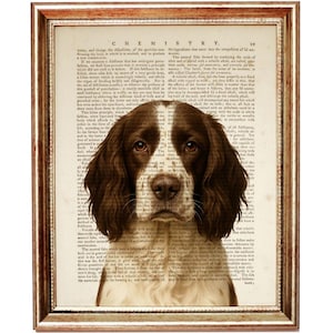 May include: A framed print featuring a brown and white Springer Spaniel dog portrait. The dog's image is superimposed on a vintage book page with the title "CHEMISTRY" visible. The frame is a warm, golden color.