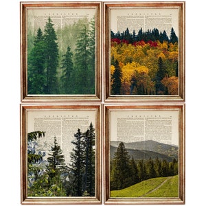 4er Set Drucke, Forest Print 4er Set, Wald Wandkunst, Wald Kunstwerk, Wald Wörterbuch Kunstdruck, Natur Wandkunst Set