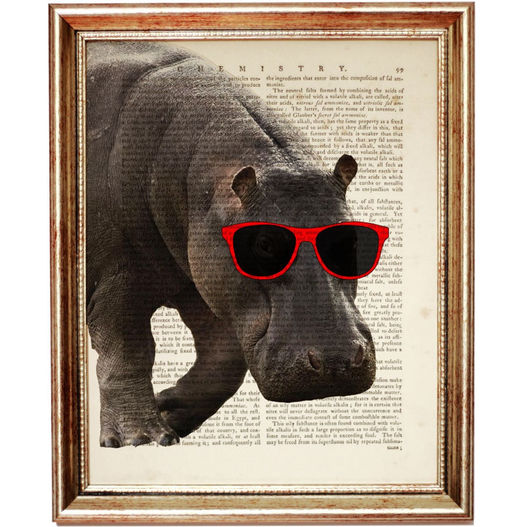 Hippo With Red Sunglasses Dictionary Art Print, Safari Animals Print, Hippopotamus Nursery Wall