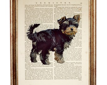 Pode incluir: Uma ilustração de um cão Yorkshire Terrier preto e castanho impressa em uma página de livro vintage com texto sobre química. O cão está em pé na página com a cabeça inclinada para o lado.