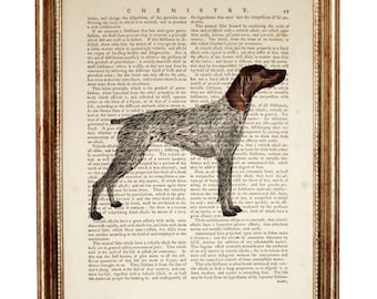 Kunst aan de muur Duitse kortharige aanwijzer, SAP-print, aanwijzer hond woordenboek Art Print, hond poster, hond muur decor, hond artwork