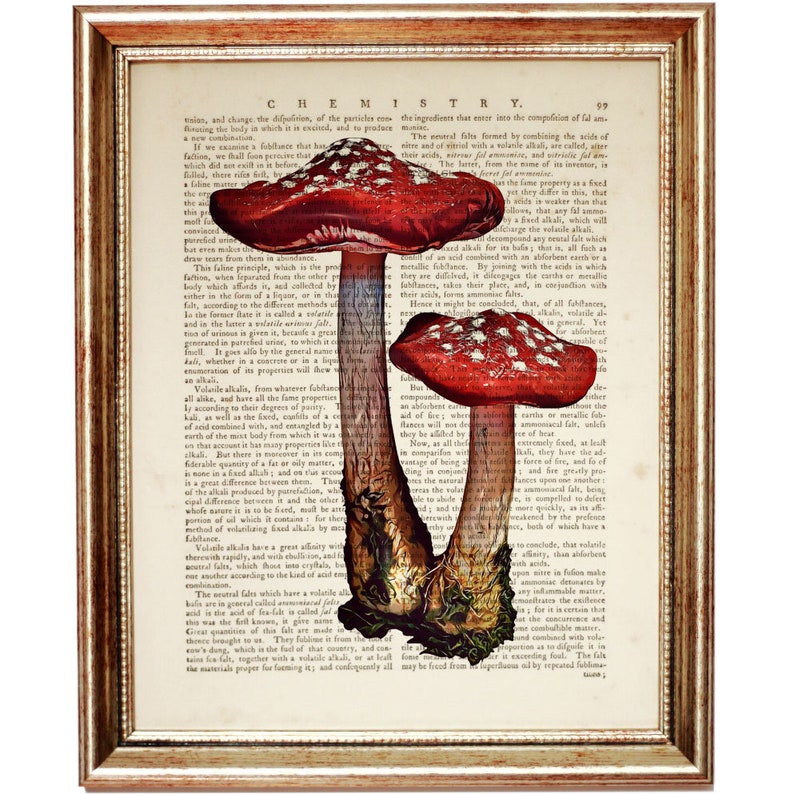 May include: Two red and white mushrooms with white spots on a vintage book page with text about chemistry. The mushrooms are in focus and the text is blurred.