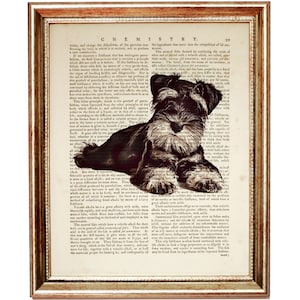 Miniature Schnauzer Art, Schnauzer Dog Dictionary Art Print, Dog Portrait Wall Decor, Pet Artwork, Dog Wall Hangings
