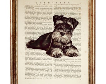 Miniature Schnauzer Art, Schnauzer Dog Dictionary Art Print, Dog Portrait Wall Decor, Pet Artwork, Dog Wall Hangings
