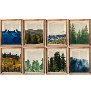 8er-Set, Wald Wandkunst, Walddruck 8er-Set, Bäume Kunstwerk, Natur Poster Set, Landschaft Wörterbuch Kunstdruck