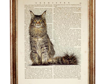 Vintage Style Metal Wall Kitchen Sign Retro Maine Coon Cat Lovers Gift