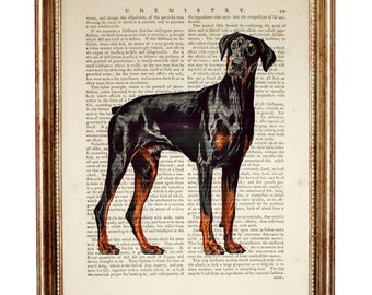 Doberman Print, Doberman Wall Art, Dog Dictionary Art Print, Doberman Dog Art, Dog Wall Print, Dog Posters and Prints