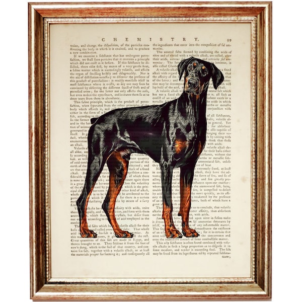Doberman Print, Doberman Wall Art, Dog Dictionary Art Print, Doberman Dog Art, Dog Wall Print, Dog Posters and Prints