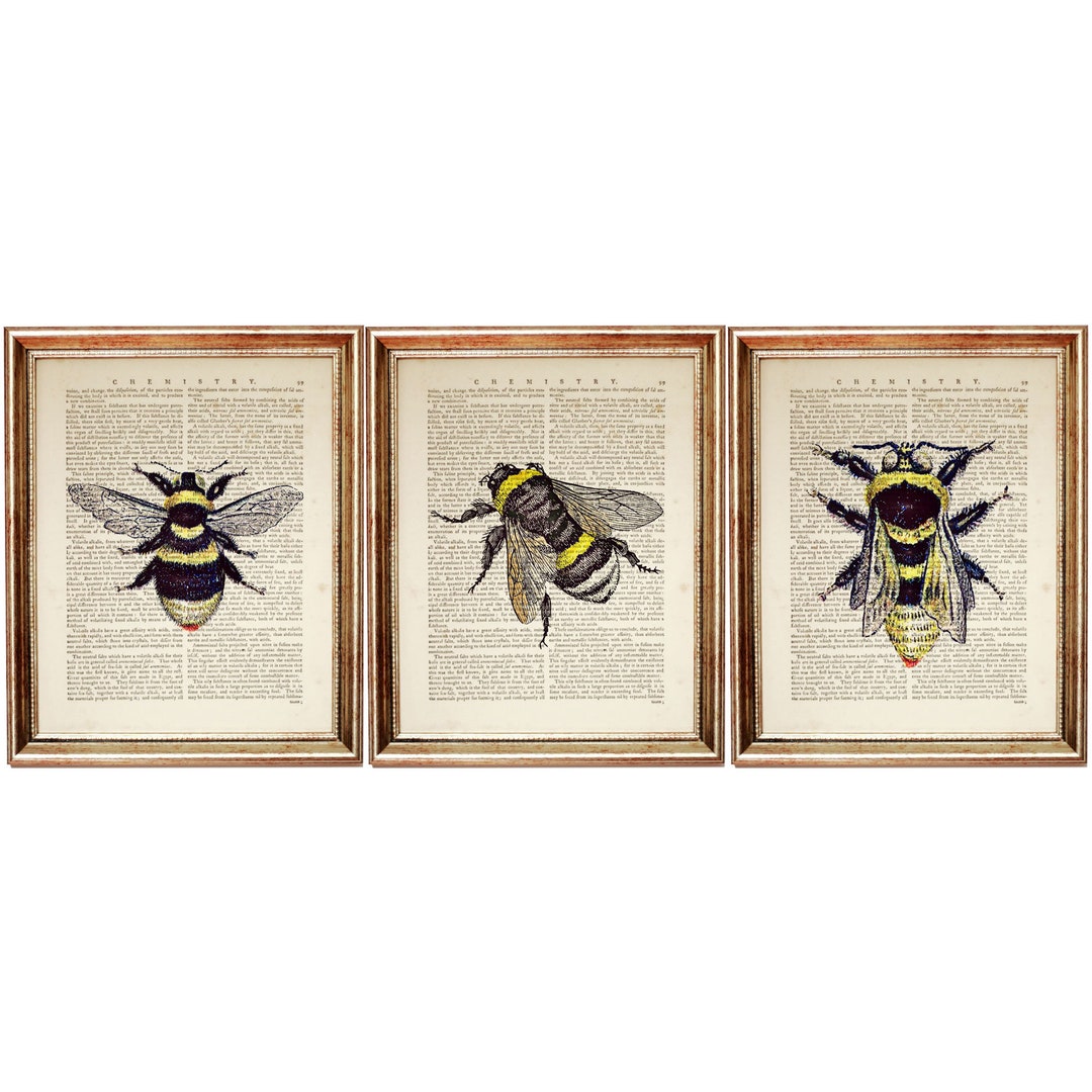 Set of 3 Bumblebee Dictionary Art Prints, Vintage Insect Wall Decor - Etsy