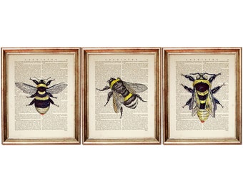 Set of 3 Bumblebee Dictionary Art Prints, Vintage Insect Wall Decor