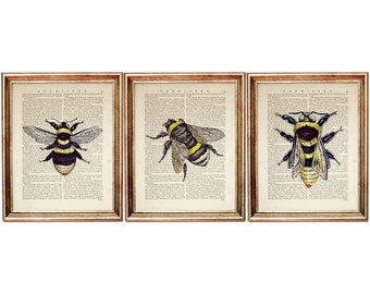 Bumble Bee Trio Dictionary Art Prints, Set of 3 Bee Wall Decor, Bee Nursery Decor, Honey Bee Poster, Beekeeping Enthusiasts Gift Artwork