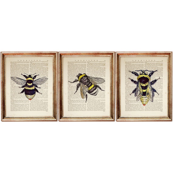 Set of 3 Prints, Bumblebee Dictionary Art Prints, Insect Wall Decor, Rustic Farmhouse Art, Nature Lover Gift, Bee Poster