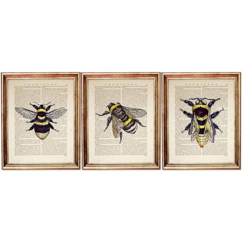 Set of 3 Bee Wall Decor