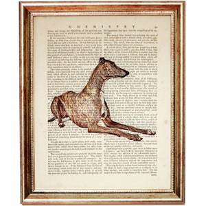 Greyhound Hund Wörterbuch Kunstdruck, Greyhound Illustration Kunst, Hund Antikes Poster, Hunde Buch Seite, Windhund Wanddekoration