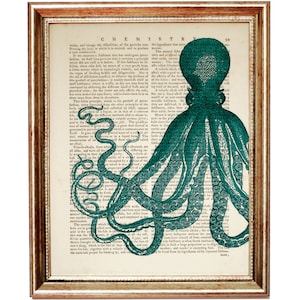 Octopus  Print Green, Octopus Art Print, Octopus Wall Decor, Sea Life Dictionary Art Print, Nautical Poster, Ocean Life Art