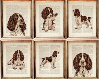 Set of 6 English Springer Spaniel Dictionary Art Prints, Vintage Dog Wall Decor, Springer Spaniel Gift, Dog Lover Gallery Wall Art