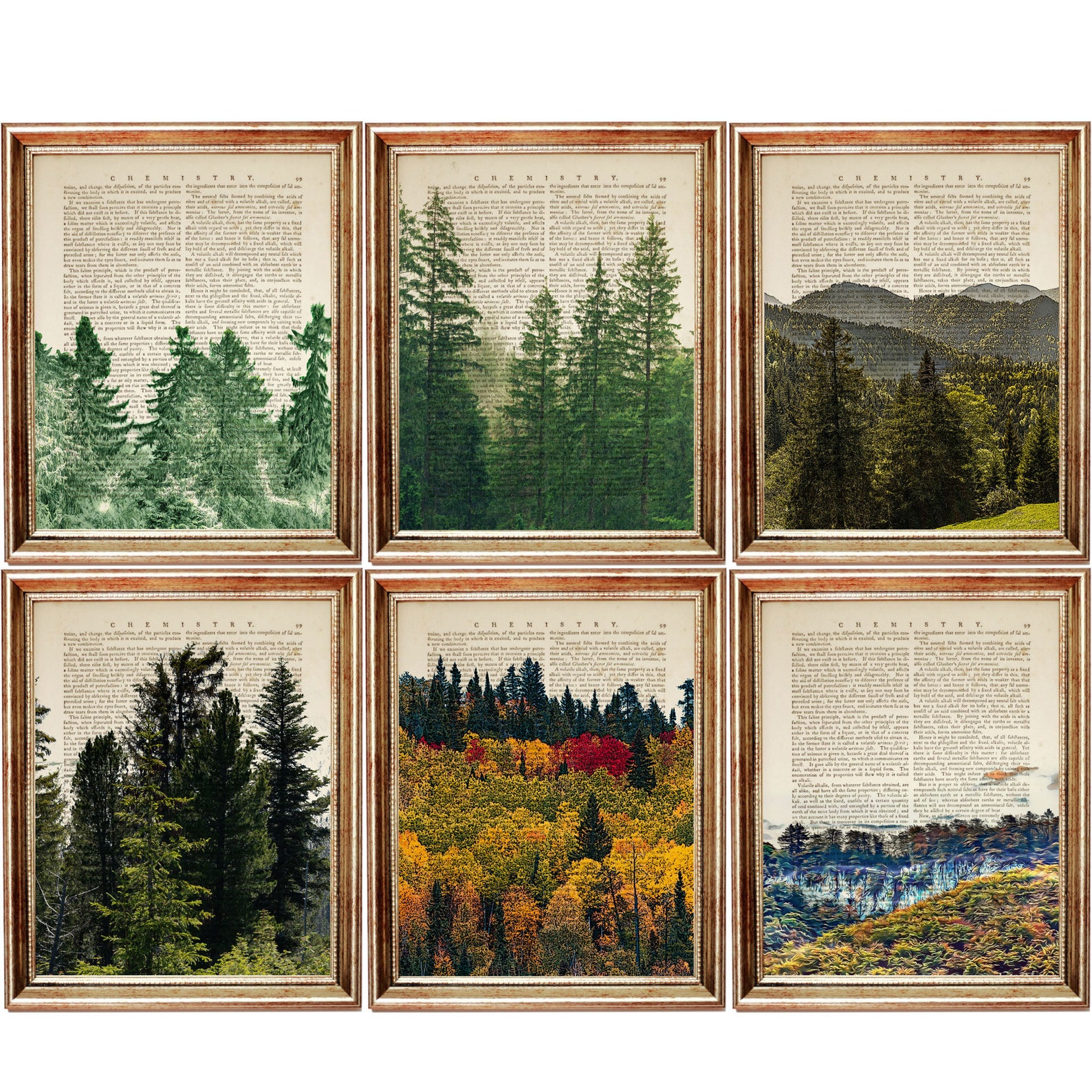 Set of 6 Prints Forest Print Set of 6 Forest Wall Art - Etsy