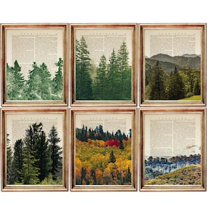 6er Set Drucke, Walddruck 6er Set, Wald Wandkunst, Wald Kunstdruck, Wald Kunstwerk, Bäume Regen Wörterbuch Kunstdruck