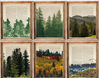 Conjunto de 6 impresiones, conjunto de 6 impresiones de bosque, arte mural de bosque, impresión artística de bosque, obra de arte de bosque, impresión artística de diccionario de árboles y lluvia