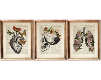 Set di 3 stampe artistiche di anatomia, teschio, cuore, polmoni, decorazione per pagina di dizionario