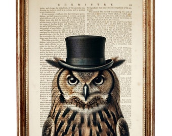 Steampunk Owl with Top Hat Dictionary Art Print