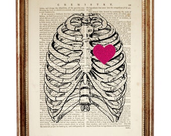 Brustkorb mit Herz Lexikon Kunstdruck, Gothic Anatomie Wand-Dekor, Vintage Medizinische Illustration, Skelett Kunstwerk