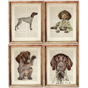 Juego de 4 impresiones artísticas de diccionario de pointer alemán de pelo corto, 8 x 10, perro GSP, decoración de pared de 8 x 10, póster de animales, juego de 4 impresiones