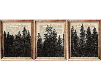 Set of 3 Prints, Forest Art Print, Black and White Forest Dictionary Art Print, Pine Tree Wall Art, Forest Home Decor