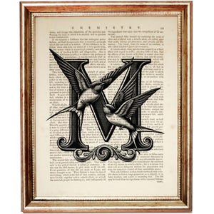 Letra M com pássaros, impressão de arte de dicionário vintage, decoração inicial exclusiva para casa, presente de arte de parede de alfabeto personalizado